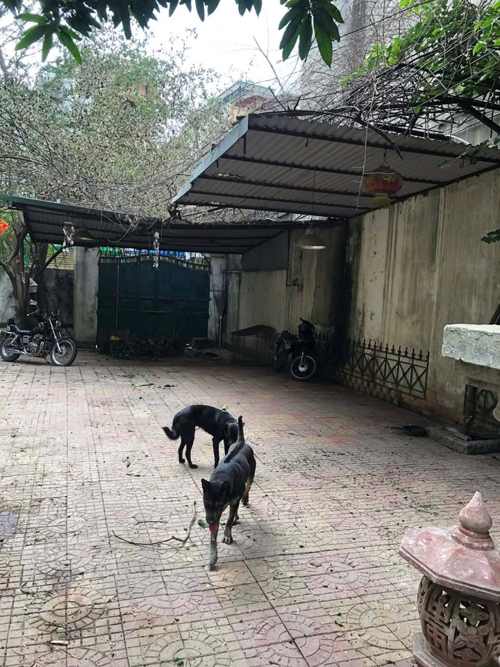 Cho thuê Xưởng & Nhà 2-4 Tầng Mặt Tiền Tựu Liệt, Thanh Trì - Sẵn Sàng Kinh Doanh