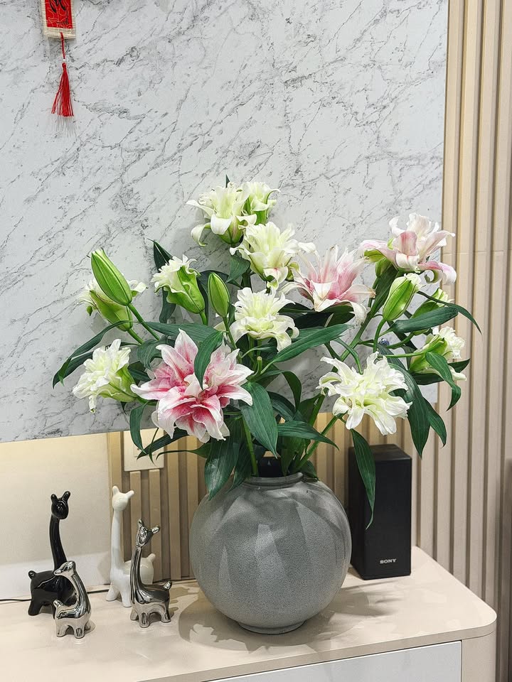 Đất nền Trương Định Pleiku 145m² - Tiềm năng tăng giá vượt trội!