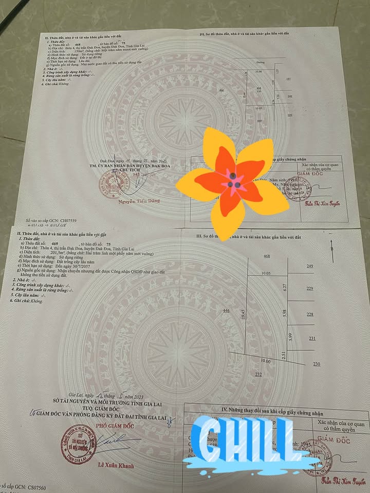 Đất Mặt Tiền Trương Định Đăk Đoa - 340m² Thổ Cư, Giá 1.7 Tỷ