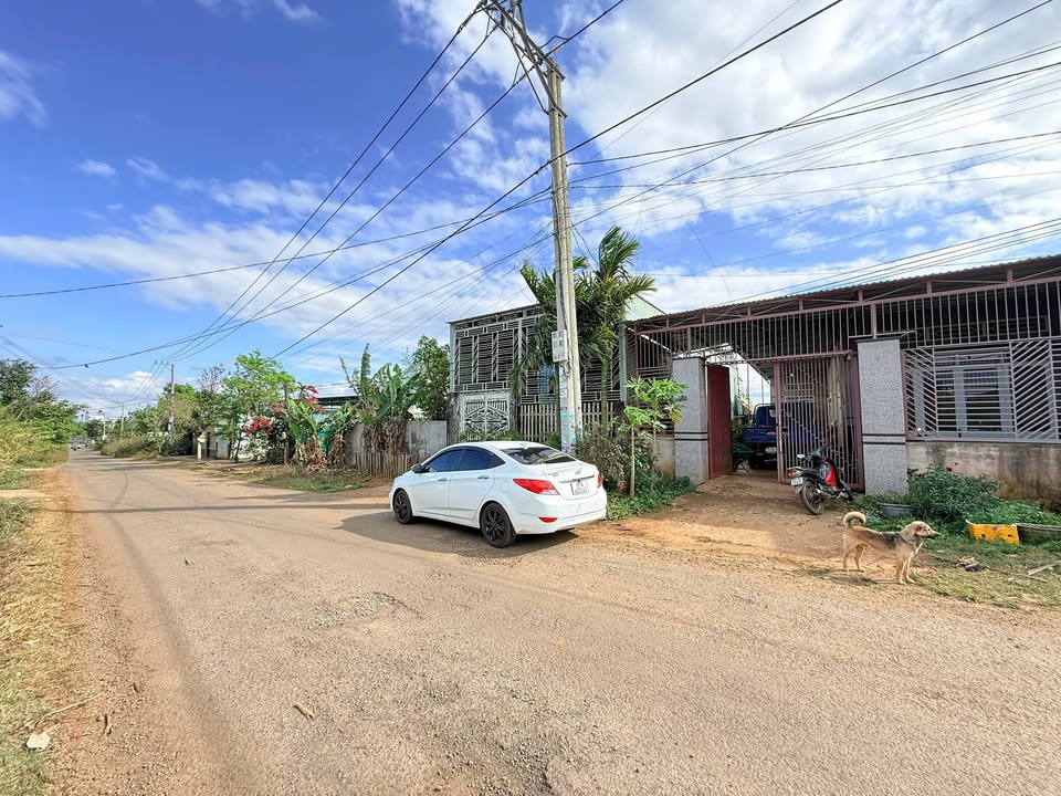 Đất nền mặt tiền Bùi Viện, Pleiku - 150m² Thổ cư, Giá chỉ 891 triệu