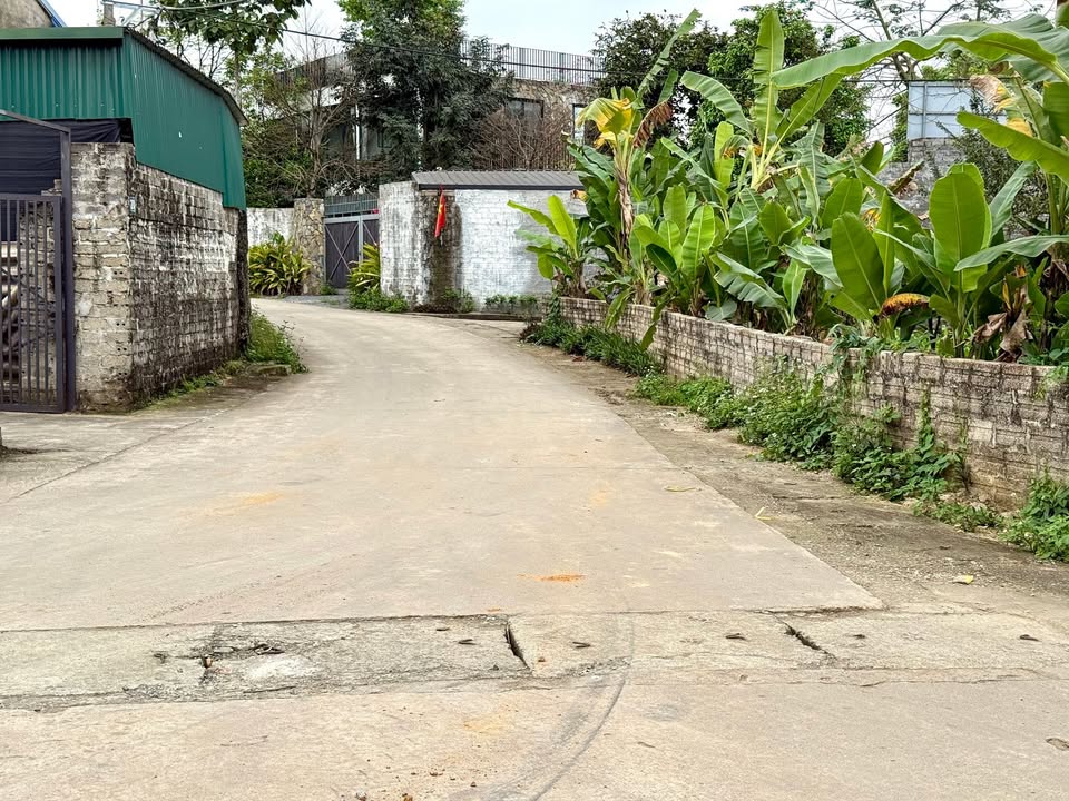 Đất nền Ba Vì 811m² - Sổ hồng chính chủ, view Ba Vì đẹp!