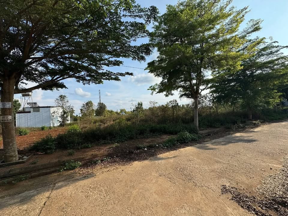 Đất nền 115m² đường Hòa Thuận, TP. Buôn Ma Thuột - Giá 9xx triệu, sổ đỏ sẵn sàng