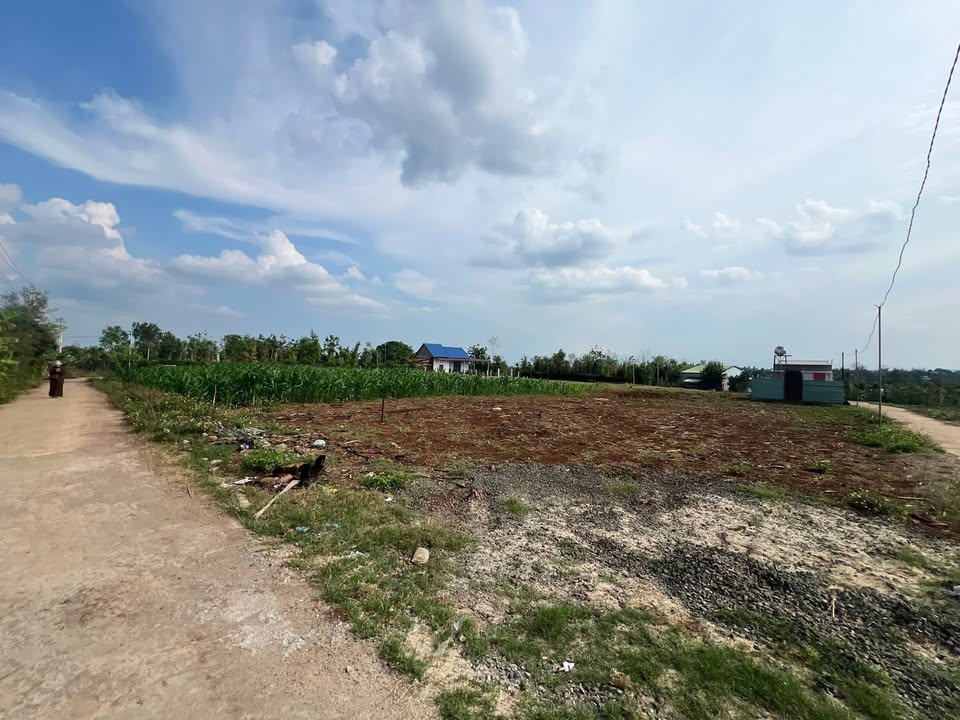 Đất nền Ea Phê 185m² (Thổ cư 60m²) - Vị trí đắc địa, đầu tư sinh lời