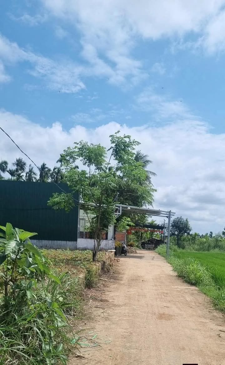 Đất nền Sơn Tịnh 140m² - Hẻm Võ Nguyên Giáp, Xây dựng tự do!