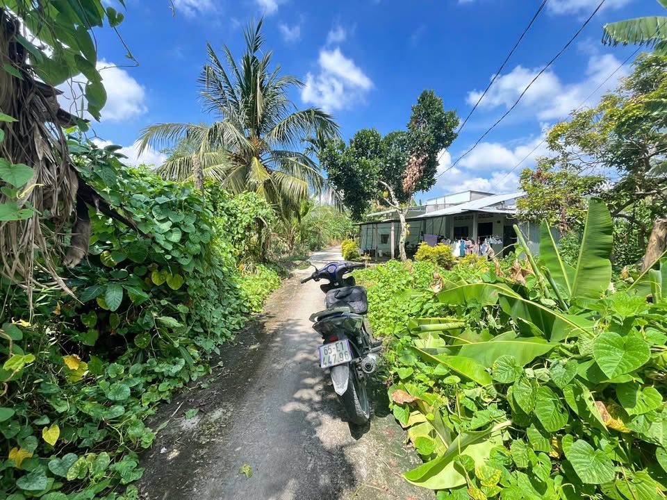 Đất nền Tân Thạnh, Thới Lai 452m² giá 600 triệu - Tiềm năng tăng giá!