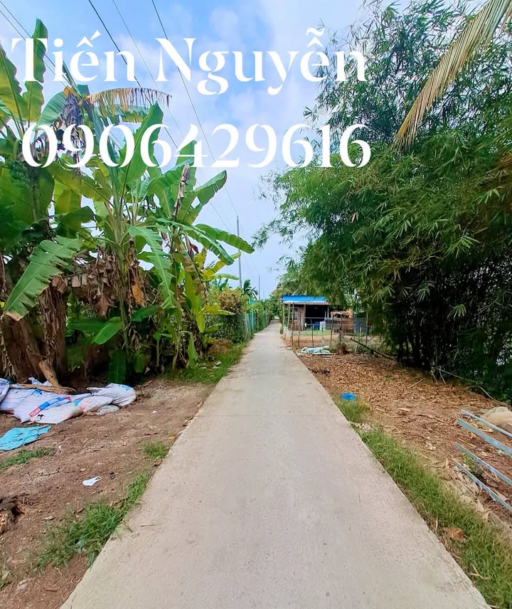 6000m² Đất Vườn Định Môn, Cần Thơ - Giá Tốt Đầu Tư