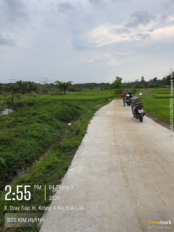 Đất nền Buôn Ma Thuột 145m² - 320 triệu, Sổ đỏ thổ cư 60%