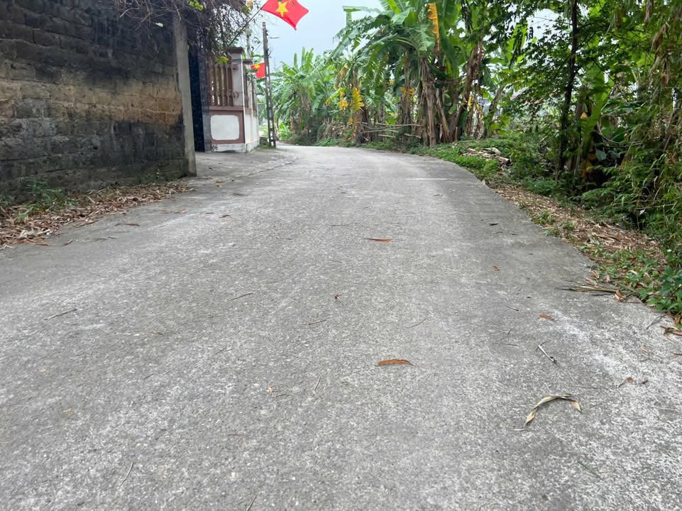 Đất Nền Việt Yên 150m² - 3 Mặt Tiền, Gần 2 KCN, Giá Nhỉnh 1 Tỷ