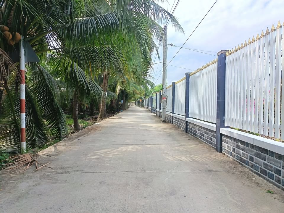 Đất Vườn Tiền Giang 1019m² - Sổ CLN, Gần AEON, Giá Đầu Tư 1.x Tỷ