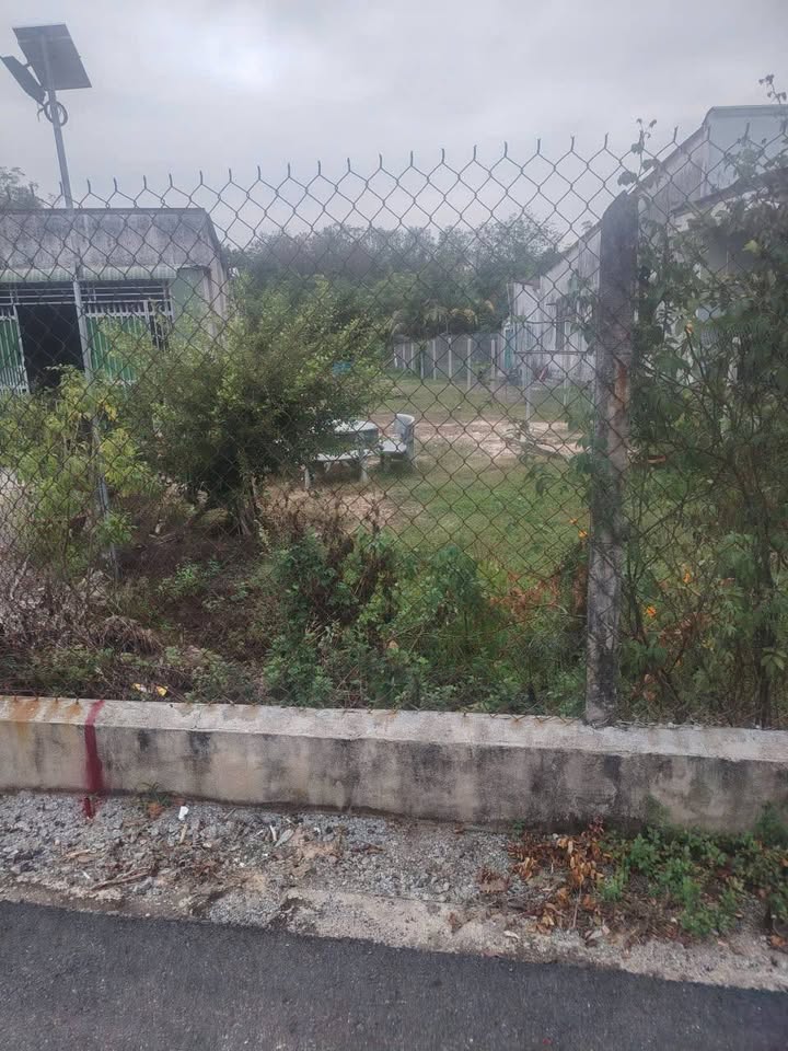 Đất nền Hòa Lợi, Bến Cát 342m² - Tiềm năng tăng giá!