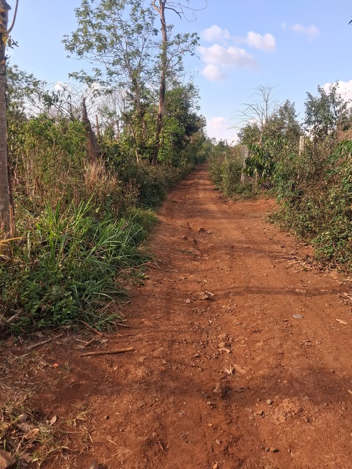 Đất 2 Mặt Tiền Buôn Yao, Krông Búk - 1.5 Tỷ/1800m²