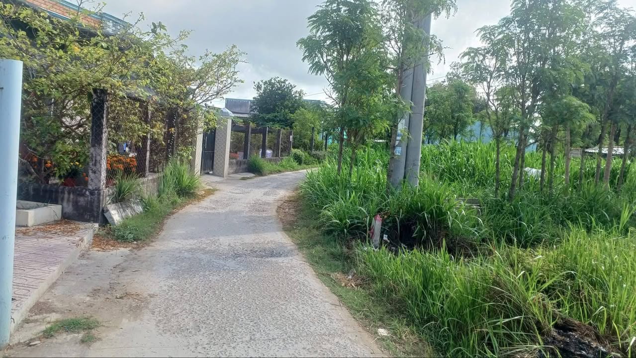 Đất nền Gò Công Đông 485m² giá 490 triệu - Tiềm năng tăng giá!