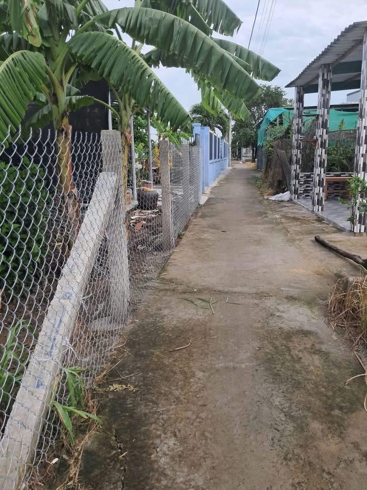 Bán Gấp Đất Nền 176m² Gò Công, Tiền Giang - Sổ Thổ Cư Sẵn Sàng