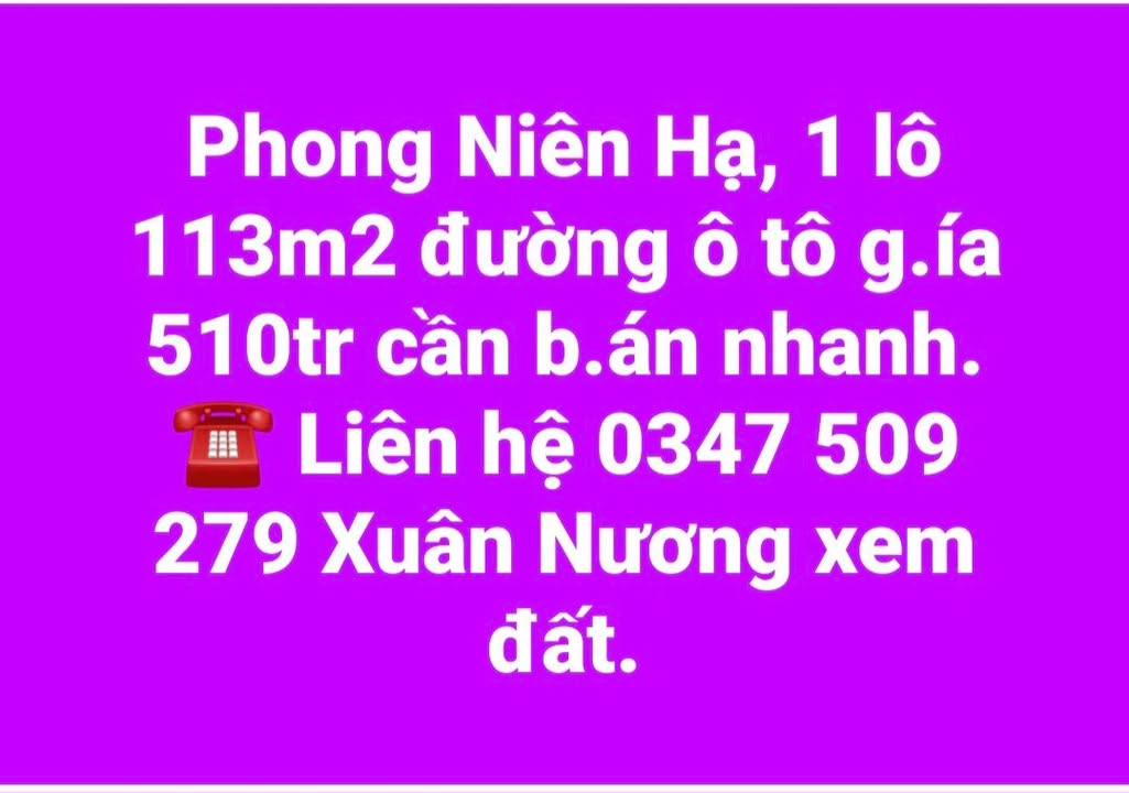 Đất nền Tịnh Phong, Sơn Tịnh 113m² - Đường ô tô, giá tốt hiếm có!