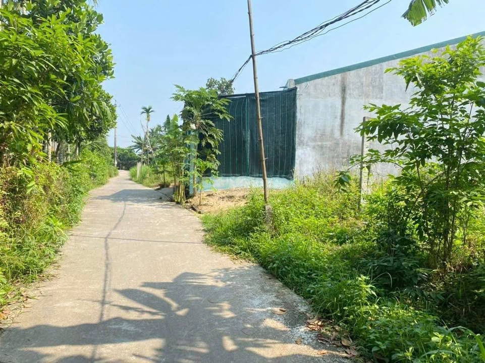 Đất nền Tịnh Hà, Sơn Tịnh 110m² - Sổ đỏ chính chủ, đường ô tô