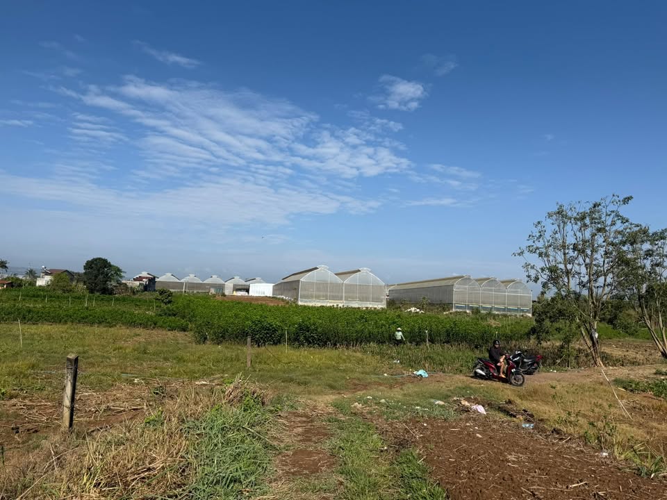 Đất nền Thôn Kim Phát Đức Trọng 1800m² - Sổ đỏ chính chủ, giá 750 triệu