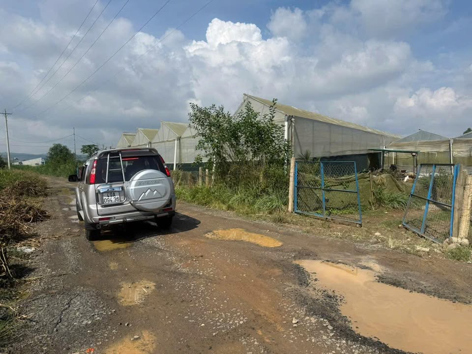 Đất Vườn 2ha Tân Hội, Đức Trọng - Mặt Tiền 200m, Sổ Đỏ Thổ Cư