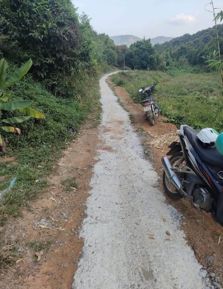 Đất Nền Ma Đa Guôi, Lâm Đồng 10.000m² - Sổ đỏ chính chủ!