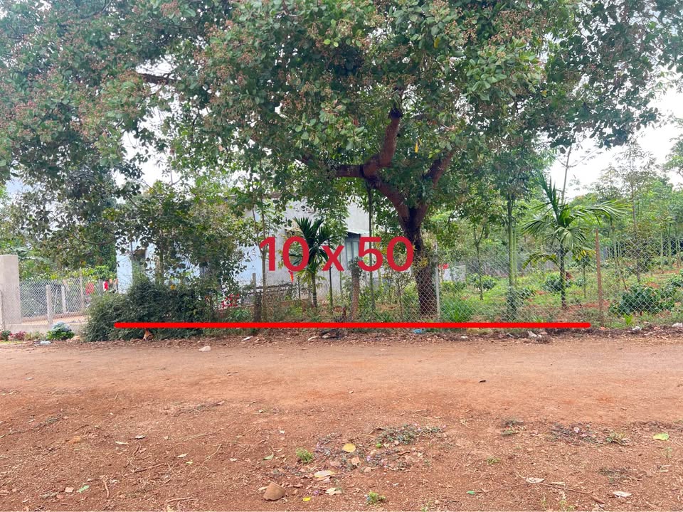 Đất nền Buôn Ma Thuột 500m² - Sổ đỏ chính chủ, giá chỉ 8xx triệu