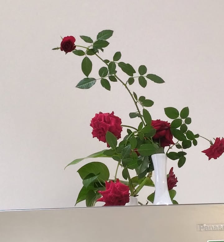 Nhà cấp 4 Ấp 1 Đạo Thạnh 51m² giá 850 triệu - Sổ hồng sẵn!