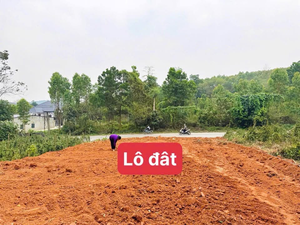 Đất Nền Quang Sơn, Lập Thạch 159m² - Thổ Cư Sẵn, Kinh Doanh Sầm Uất!