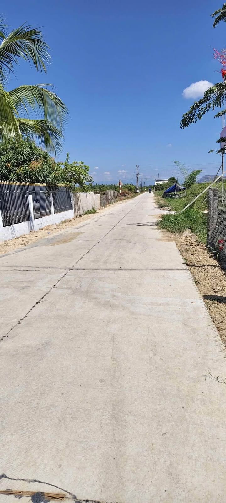 Bán Đất Nền 540m² Thổ Cư & Cây Trồng, Thị Trấn Ma Lâm, Bình Thuận - Giá 650 Triệu