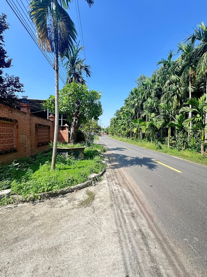 Bán Gấp Đất Vườn Phước Hải 2070m² - Sẵn Cây Ăn Trái, Sổ Hồng