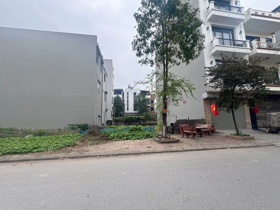 Đất nền Đường Trục Chính Trần Đăng Tuyển 72.5m² - Tiềm năng tăng giá!