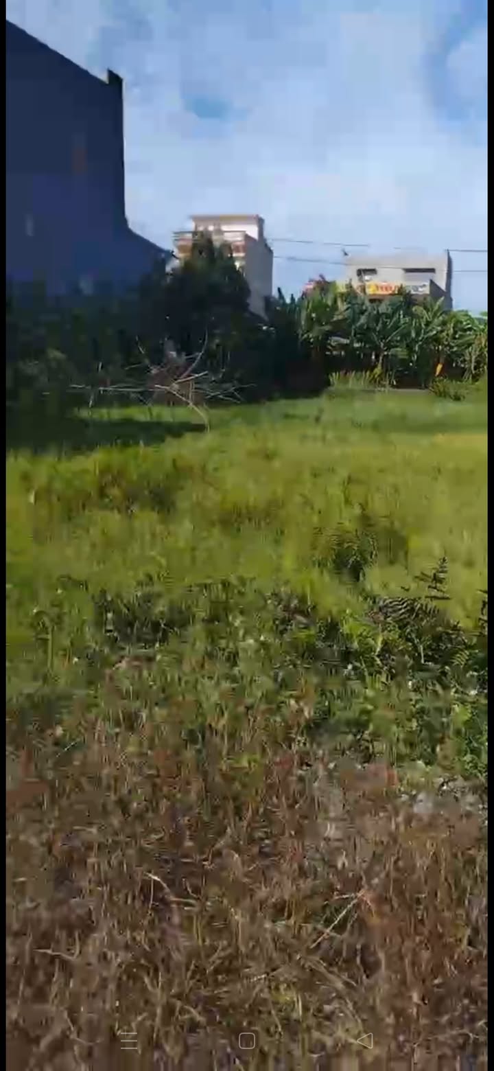 Bán Gấp Đất 195m² Thiệu Toán, Thanh Hóa - Sổ Đỏ Rõ Ràng, Giá Tốt