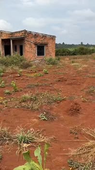 Bán Đất Đỏ Bazan 5000m² Ia Pia, Chư Prông - Sổ Đỏ Sẵn Sàng