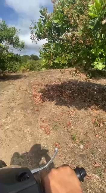 Đất Nông Nghiệp 6ha Kông Bơ La, Gia Lai – Sổ Đỏ Chính Chủ, Giá 3 Tỷ