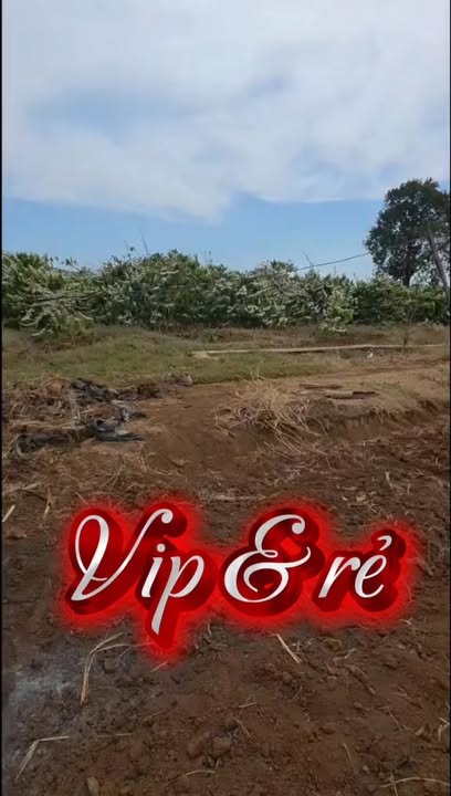 Đất nông nghiệp Yang Bắc 8.5ha thỏa thuận - Đường to ô tô