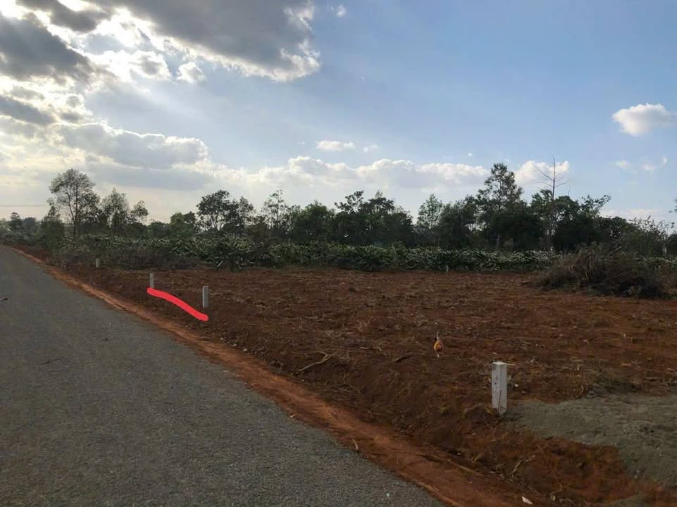 Đất nền Xã Ia Dêr Chư Păh 115m² - Sổ đỏ chính chủ!