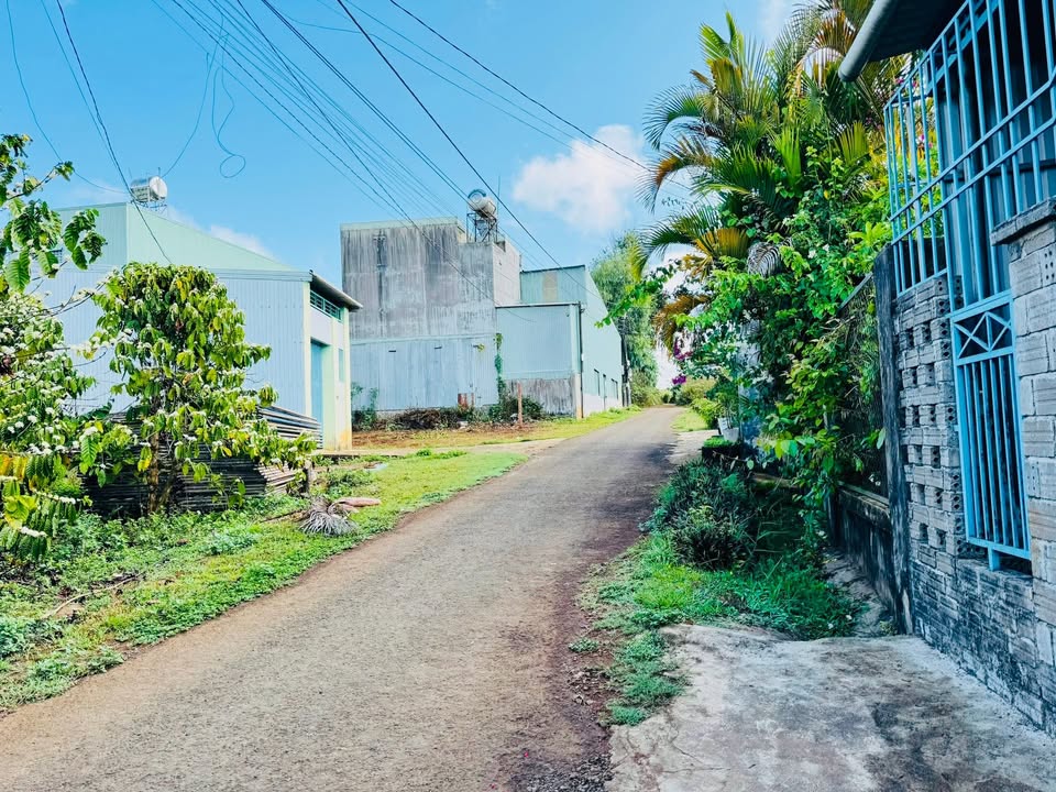 Bán Gấp 2 Lô Đất Thổ Cư Hẻm Đỗ Nhuận, Pleiku - 150m²/lô