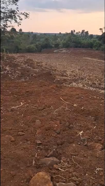 Bán Đất Vườn Gia Lai 1.6ha Sổ Đỏ Chính Chủ Giá 1.1 Tỷ