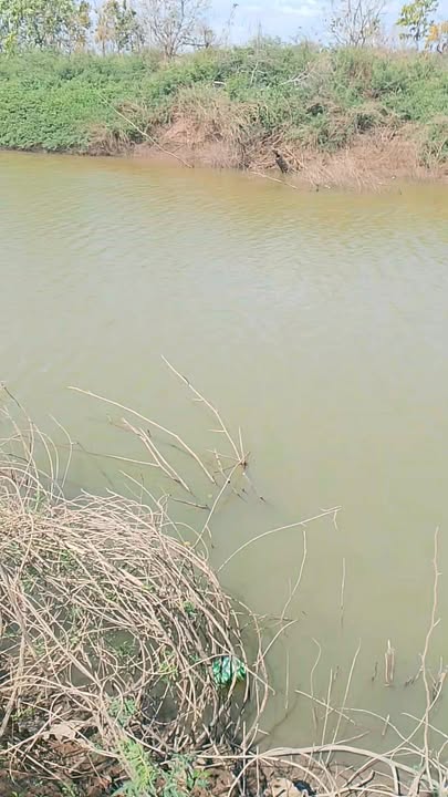 Bán Đất Vườn Ia Mơ Gia Lai - 6 Hecta Sẵn Sổ - Giá Chỉ Từ 400 Triệu