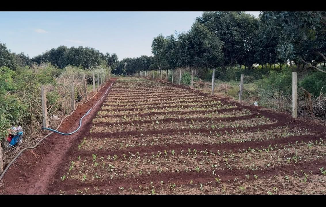 Bán đất 3000m² hẻm Trương Định, An Khê - Giá 1.5 tỷ, sổ đỏ sẵn sàng