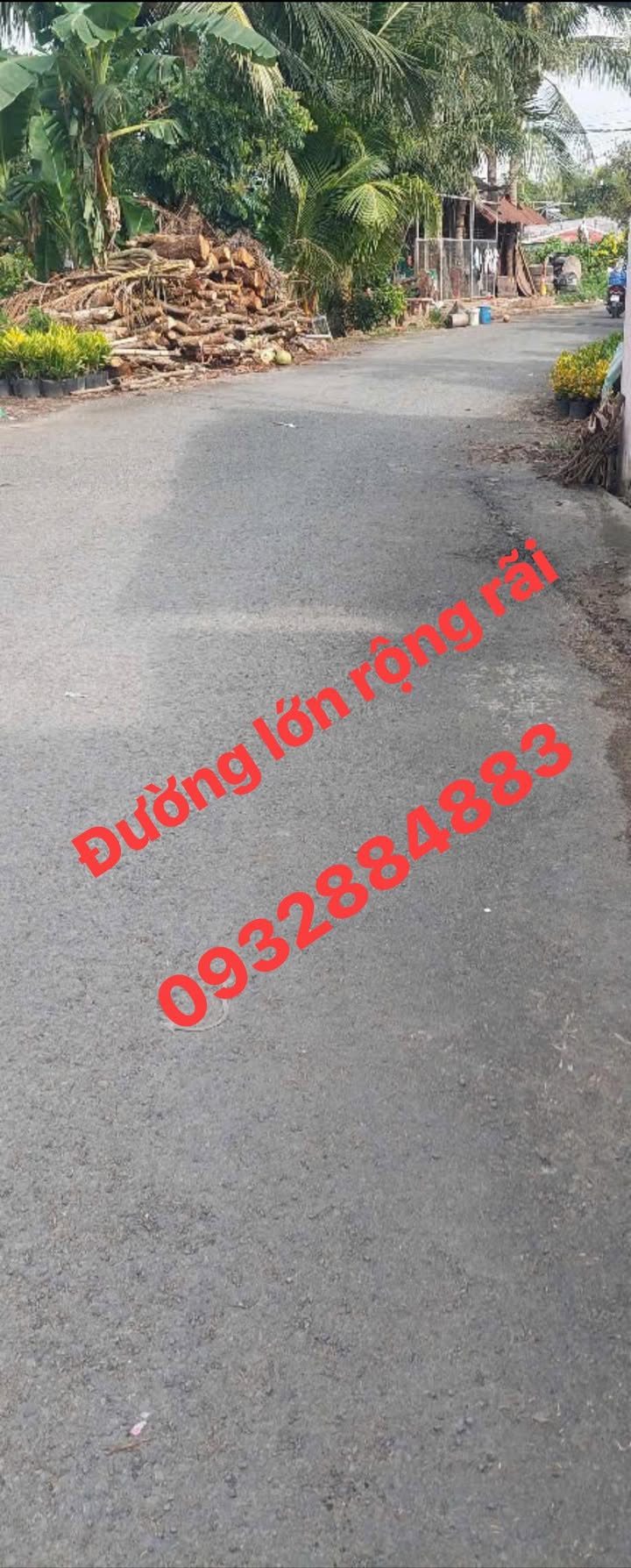 Nhà Mặt Tiền Trần Khánh Dư Sa Đéc - 74m² Kinh Doanh Sầm Uất