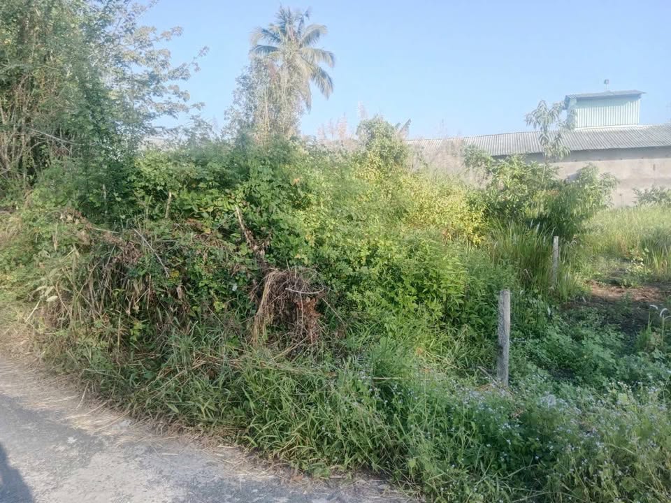 Bán Đất Vĩnh Hòa Hiệp, Châu Thành: 142m² Thổ Cư, Sổ Đỏ Chính Chủ