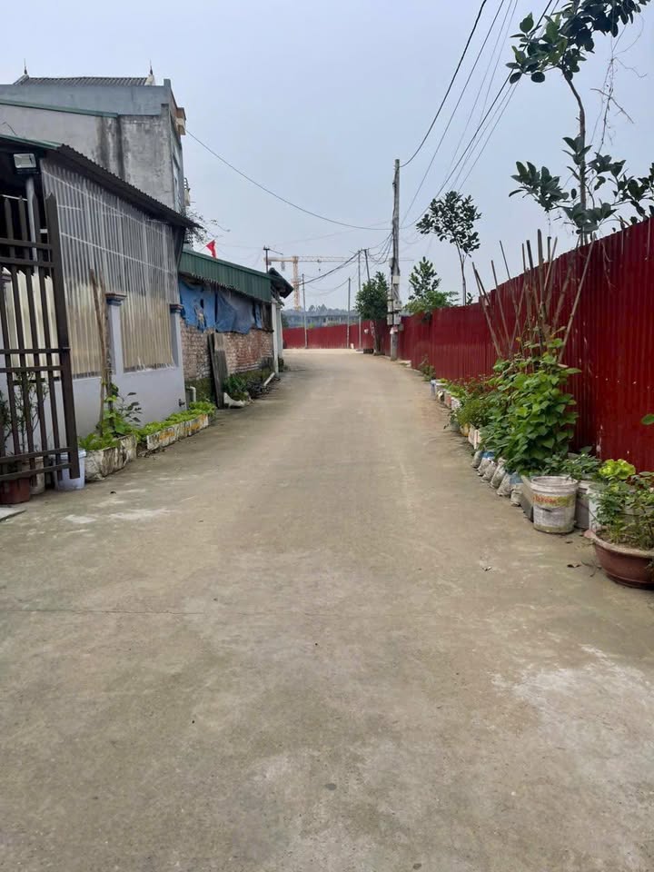 Bán Gấp Đất Nền 110m² Trục Chính Lang Liêu, Việt Trì - Tiềm Năng Sinh Lời Cao