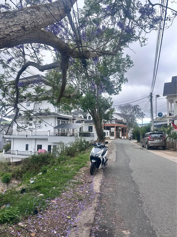 Đất Trần Khánh Dư Đà Lạt 250m² 15 tỷ - Sổ đỏ chính chủ