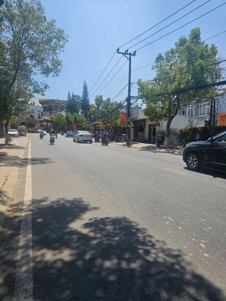 Đất Mặt Tiền Nguyễn Đình Chiểu Đà Lạt 356m² - Kinh Doanh Đắc Lợi