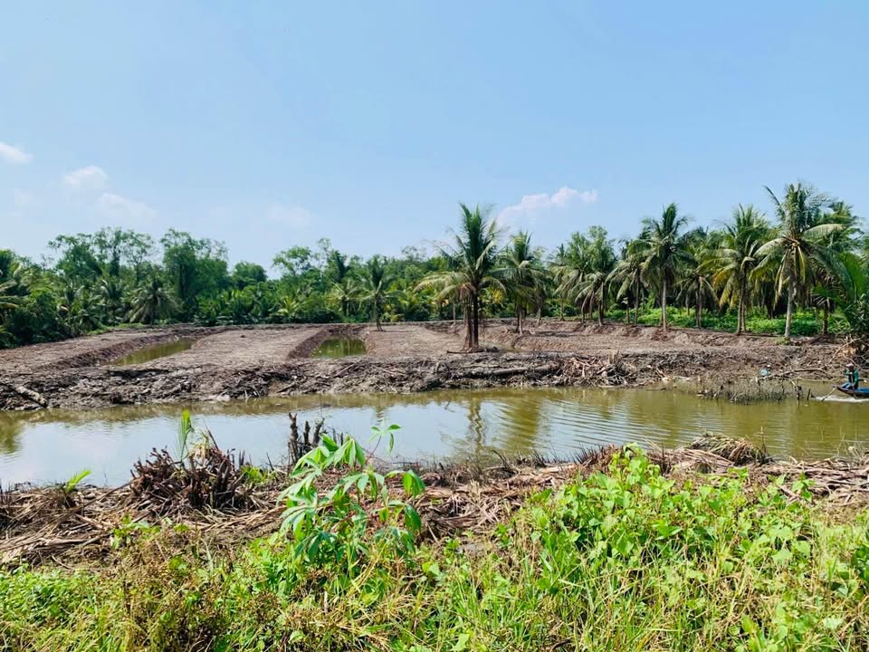 Bán Đất Vườn 3.6ha Hòn Đất Kiên Giang - Sẵn Sổ Sổ Đỏ, Giá Tốt