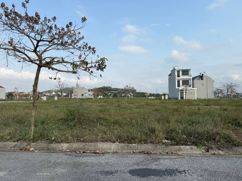 Đất nền Cẩm Giàng - 80m² - 2.2 tỷ - Đối diện trường học