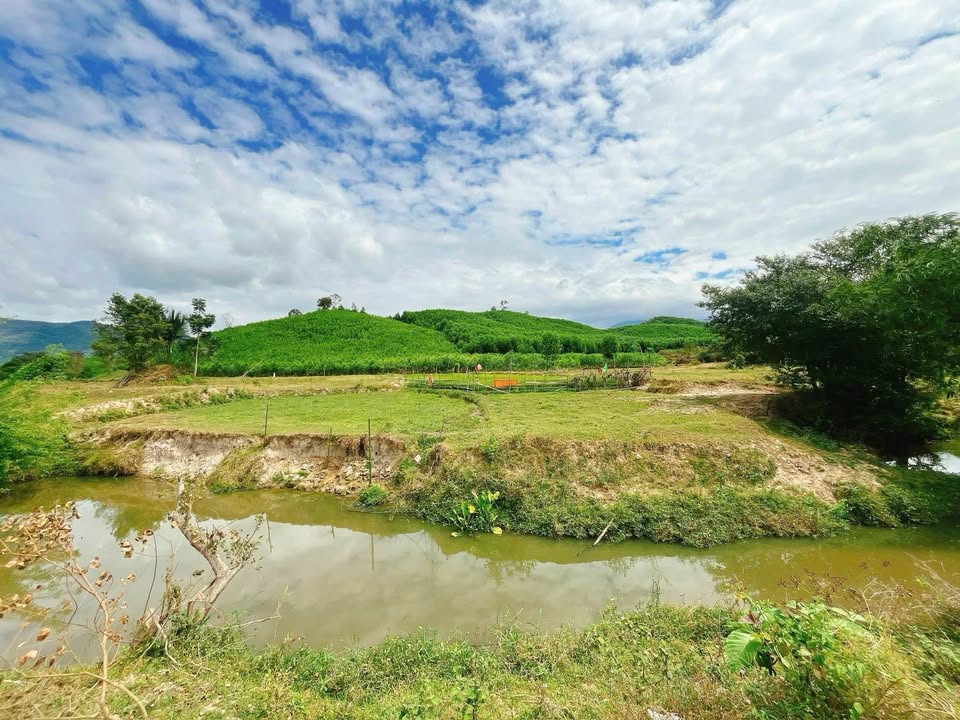 Đất Farm Khánh Hiệp, Khánh Vĩnh 1.2ha - Sinh thái xanh, suối bao quanh!