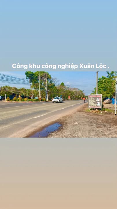 Đất Vàng Mặt Tiền Nhựa 380m² Xuân Lộc - Dòng Tiền Ổn Định 4.5 Tỷ