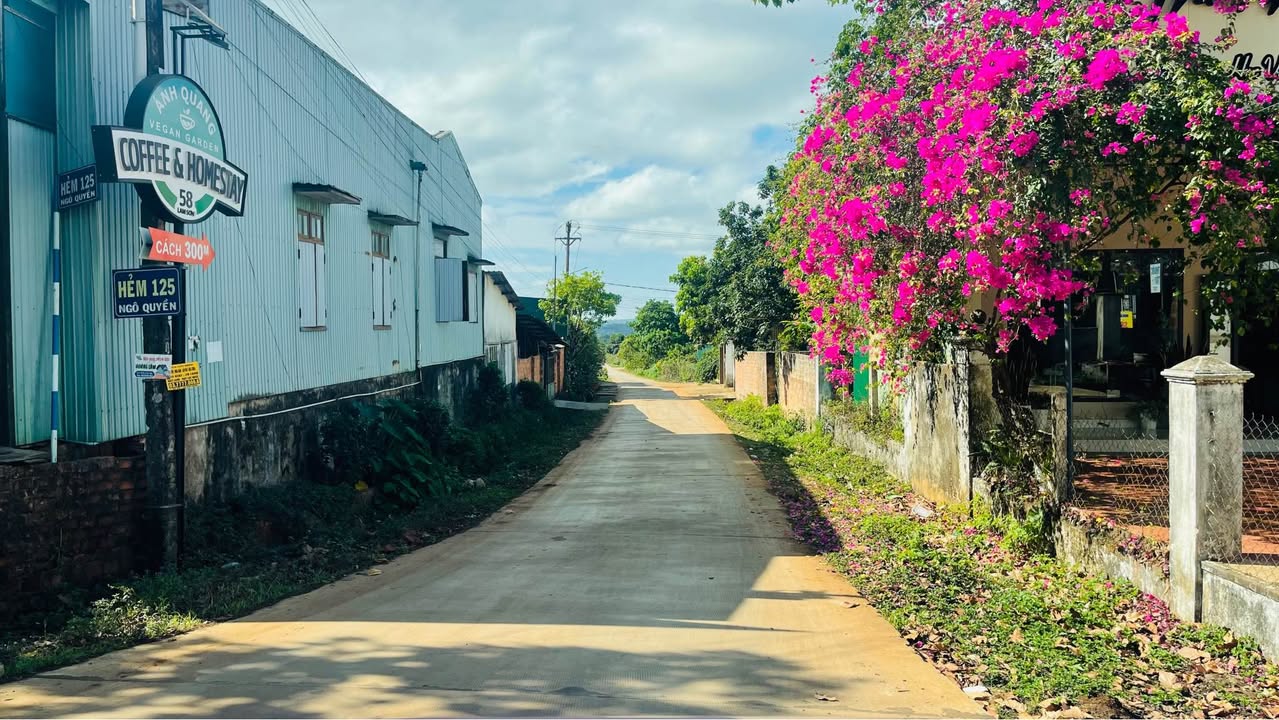 Đất Hẻm 100m Ngô Quyền, Biển Hồ, Gia Lai - 170m² Giá 730 Triệu