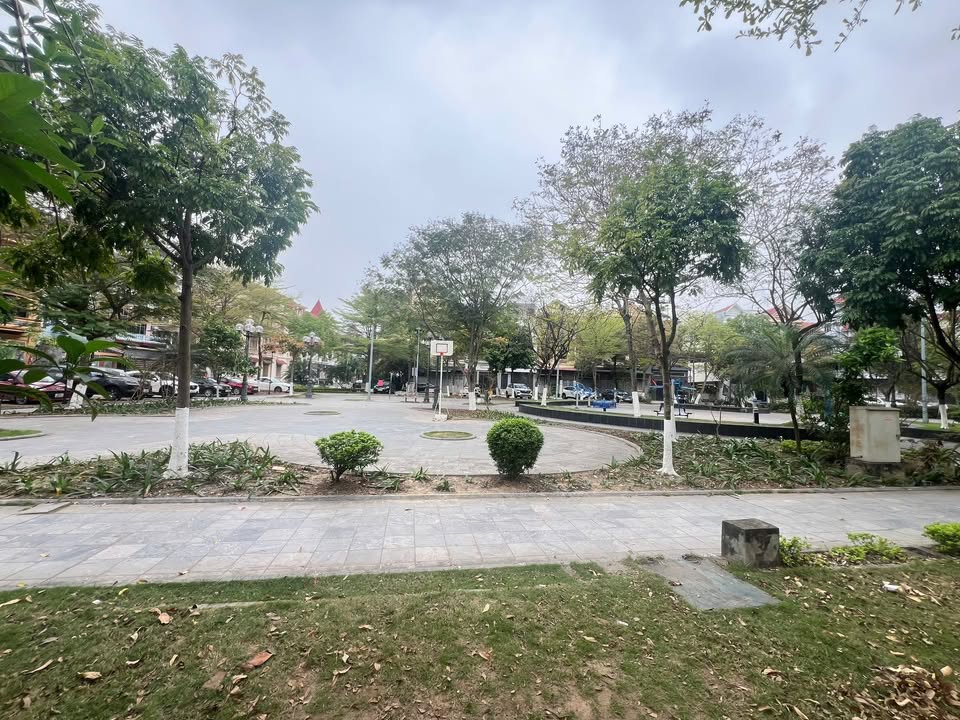 Đất nền Liên Bảo, Vĩnh Yên 90m² view Vườn Hoa – Tiềm năng tăng giá!