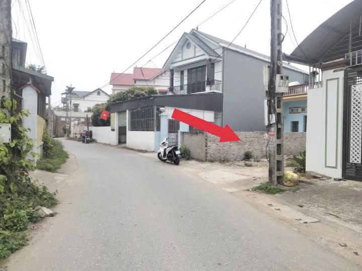 Đất Nền Trục Chính Quang Minh, Tam Đảo - 159m² Kinh Doanh Đắc Địa