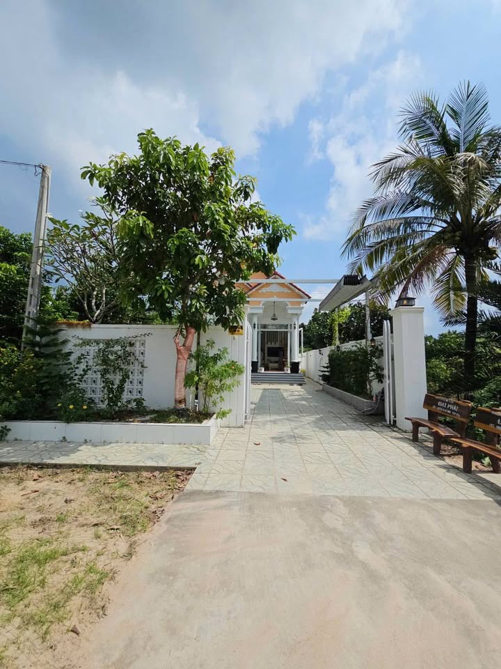 Nhà Mái Thái 256m² T.Ninh - Sân Vườn Thơ Mộng, Oto Tới Đất